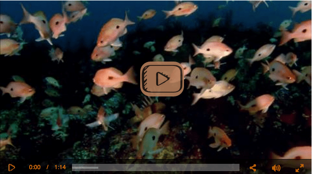 An example of video player skin customization