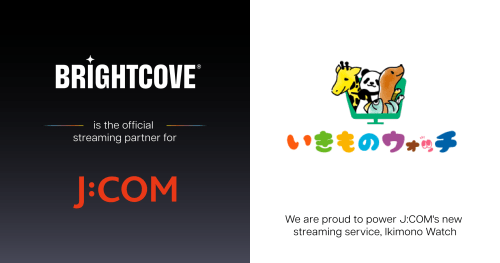 Brightcove to Power J:COM Streaming Service